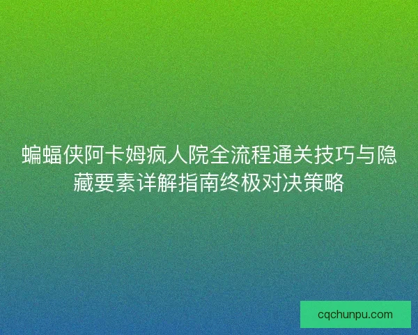 蝙蝠侠阿卡姆疯人院全流程通关技巧与隐藏要素详解指南终极对决策略