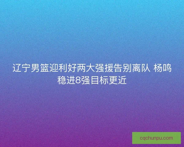 辽宁男篮迎利好两大强援告别离队 杨鸣稳进8强目标更近 辽宁男篮迎利好两大强援告别离队 杨鸣稳进8强目标更近